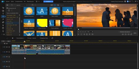 Interfaz de edición de video de Pippit con opciones de filtros y efectos