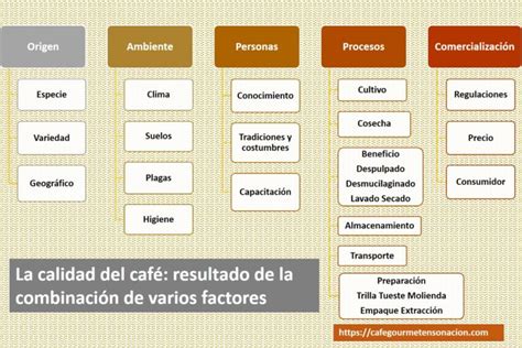 Factores que influyen en el sabor del café