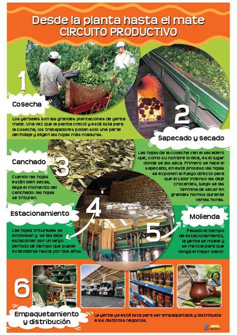 Esquema de secado correcto del mate boca abajo