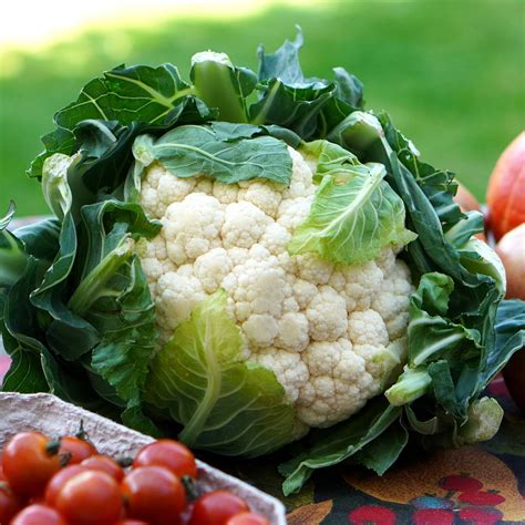 Coliflor cruda y cocida