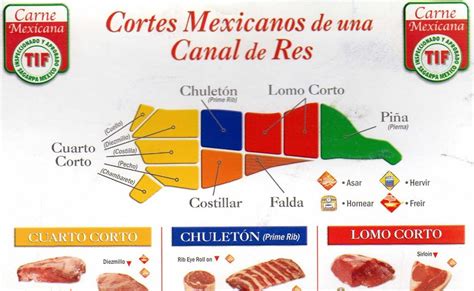 Diagrama de cortes de canal de cerdo