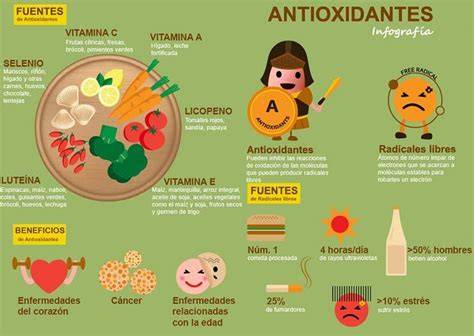 Infografía sobre los beneficios antioxidantes de las castañas de cajú