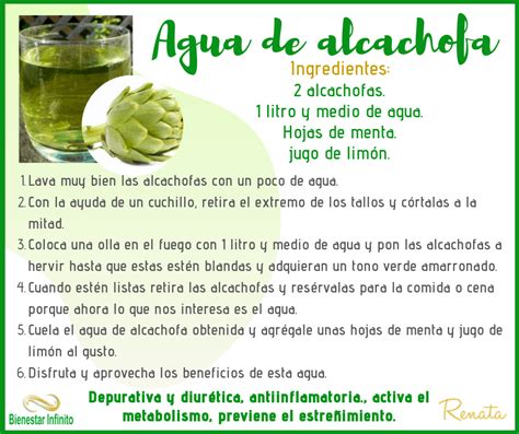 Infografía: Beneficios del agua de alcachofa