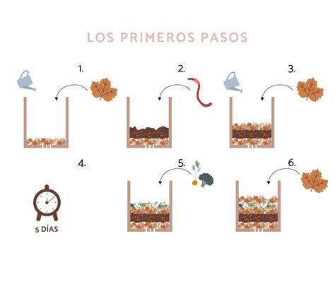 Proceso de vermicompostaje paso a paso