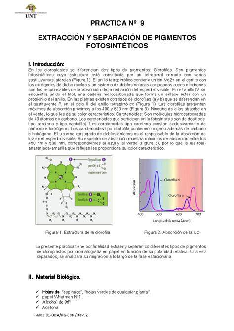 Esquema de extracción de pigmentos a partir de diversos materiales orgánicos