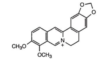 Estructura química de la berberina y sus fuentes naturales