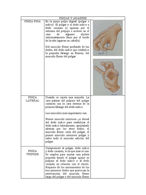 Tipos de agarre en la salsa cubana