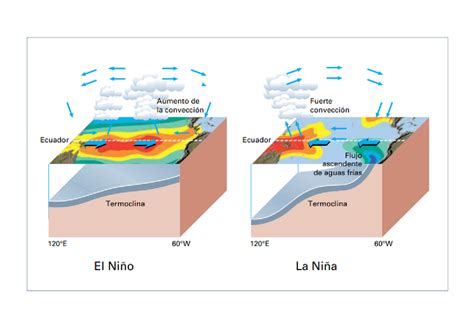 infografía explicando el fenómeno de la tostada cayendo
