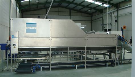 Maquinaria para lavado y clasificación de boniatos