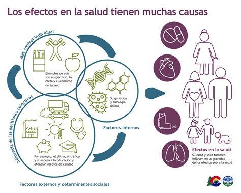 Gráfico comparativo de los efectos en la salud del chocolate con aceite de oliva frente a otros