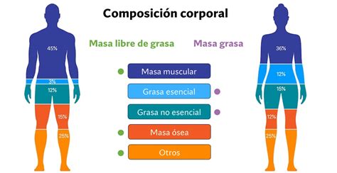 Gráfico: Cantidad de grasa vs. extensibilidad de la masa