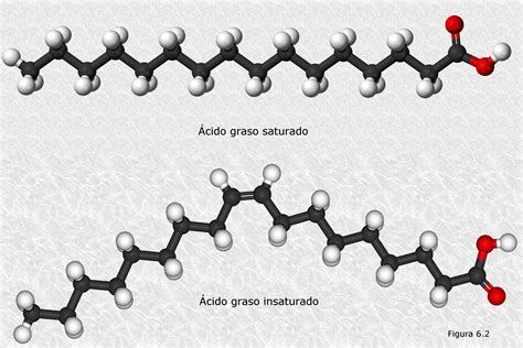 Ilustración de las principales vitaminas y ácidos grasos presentes en el aceite de hígado de bacalao