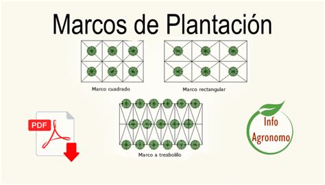 Diagrama de marco de plantación para calabazas