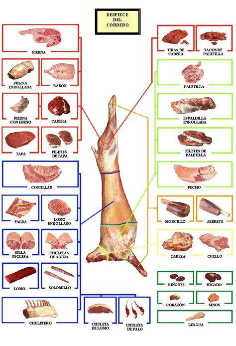 Esquema de los cortes de carne del cordero lechal