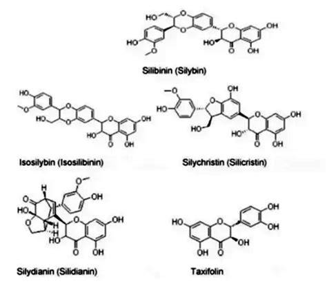 Estructura molecular de la Silimarina