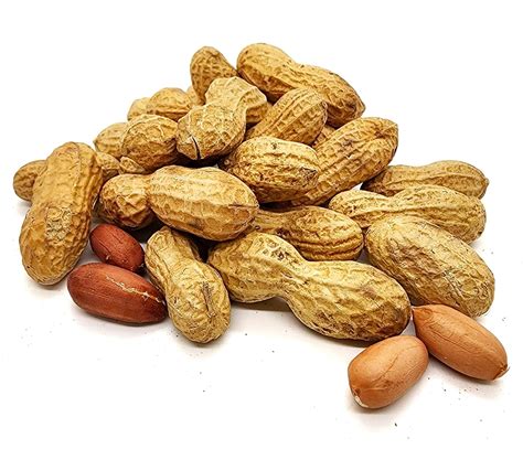 Ilustración de un cacahuete con cáscara y su planta, la Arachis hypogea