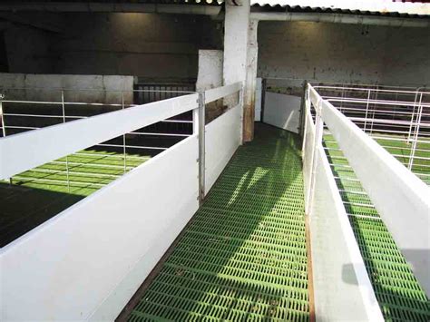 Esquema de colocación de suelo con rejillas slats para ovejas