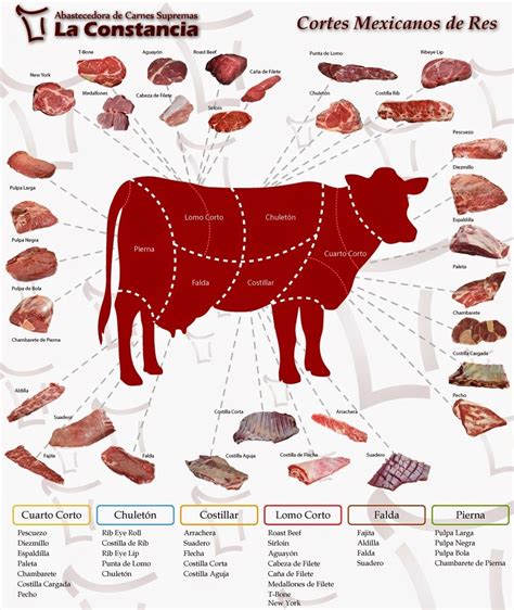 Esquema de los cortes de carne de res, resaltando la ubicación de la paleta