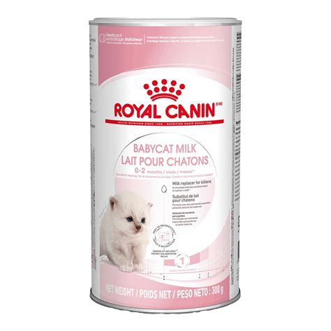 Infografía: Beneficios de la leche maternizada Royal Canin Babycat Milk