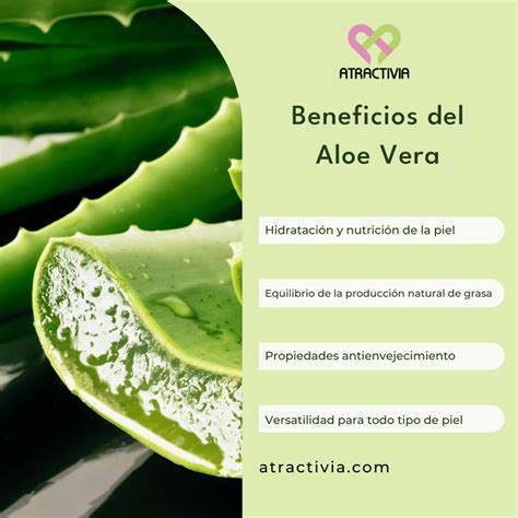 Comparativa de Texturas de Productos con Aloe Vera