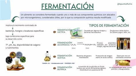 Tipos de fermentación química