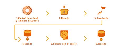 Proceso de malteado y estufado de la cebada