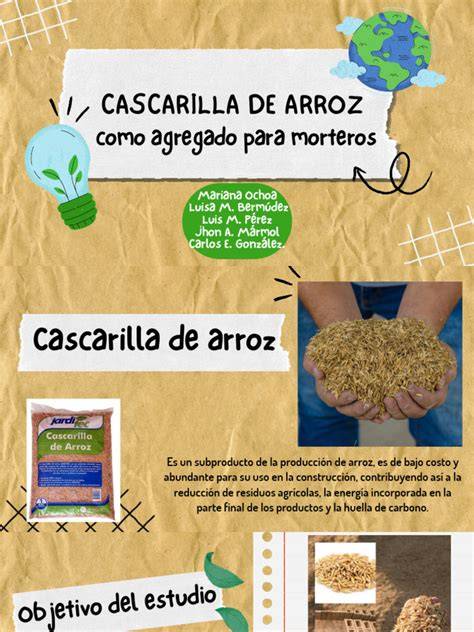 infografía sobre los beneficios del uso de cascarilla de arroz en el suelo
