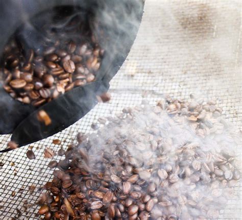 Café soluble en granos antes del proceso de tostado