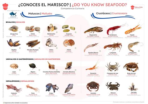 Tabla de mariscos gallegos y sus temporadas