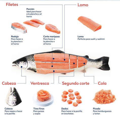 Esquema de las partes nutricionales del salmón