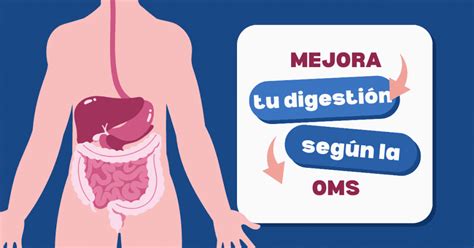 Diagrama de cómo el remojo mejora la digestión de las legumbres