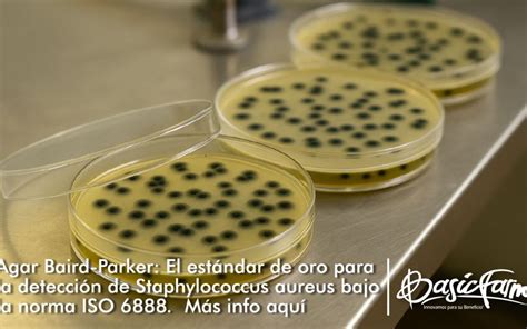 Esquema de las reacciones bioquímicas en el agar Baird-Parker