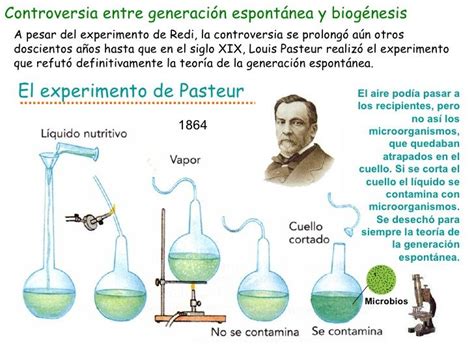 Ilustración de Louis Pasteur y su experimento con fermentación