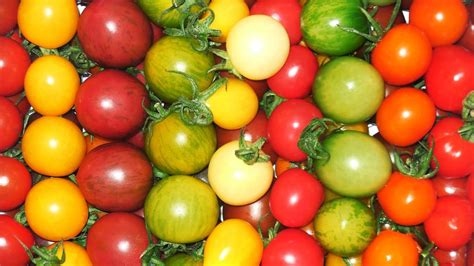 Variedades de tomate cherry