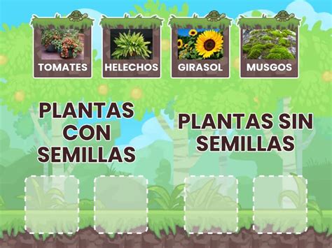 Tomates con y sin semillas