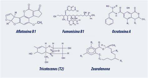 Estructura química de las micotoxinas