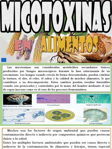 Infografía sobre los riesgos de las micotoxinas en alimentos