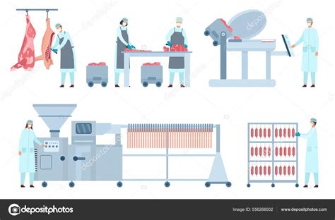 Infografía del proceso de producción de embutidos de pollo