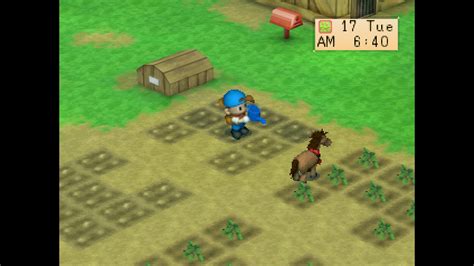 Cocina en Harvest Moon