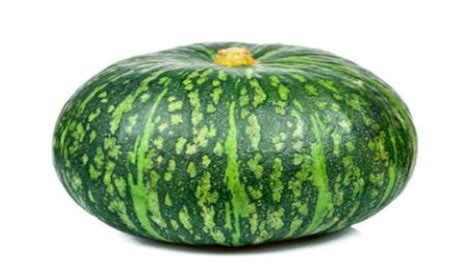 Mapa de la región de cultivo de Edosaki Kabocha en Japón