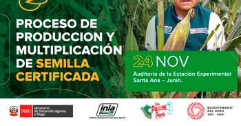 Proceso de multiplicación de semilla certificada de faba