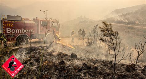 Bomberos trabajando en la extinción del incendio