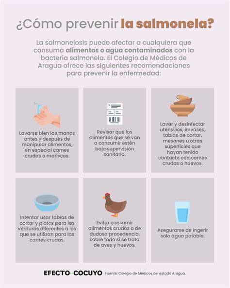 Riesgos de la salmonela en alimentos