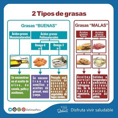 Infografía sobre el contenido de grasa en alimentos fritos