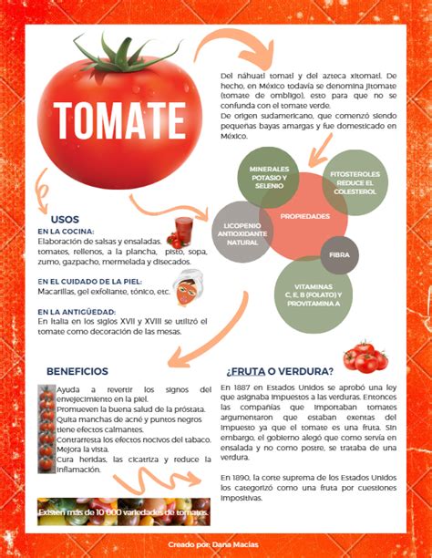 Infografía: Características del tomate rosa de Navarra