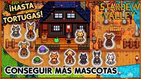 Galletas de animales doradas Stardew Valley