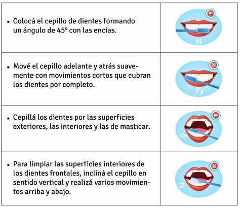 Secuencia de pasos para un correcto cepillado dental infantil