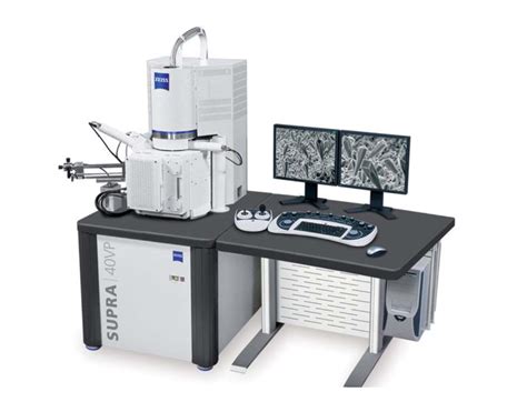 Microscopio electrónico de barrido de jalea real