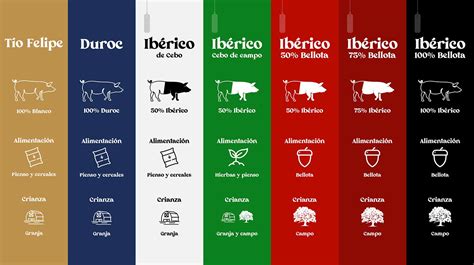 Infografía comparativa de tipos de jamón ibérico