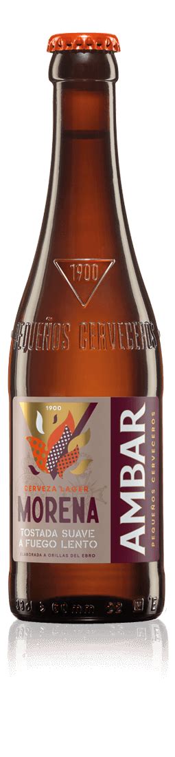 Cerveza Ambar Morena: Características y proceso de elaboración